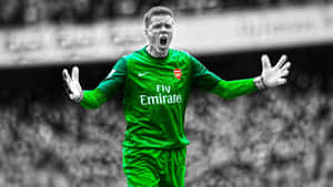 Wojciech Szczesny, Juventus Goalkeeper Wallpaper