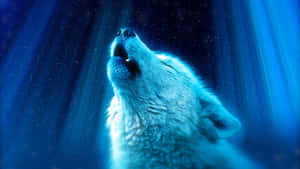 Wolf Aesthetic Howling Blue Glow Wallpaper