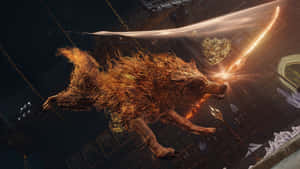 Wolf Attack In The Wild Wallpaper