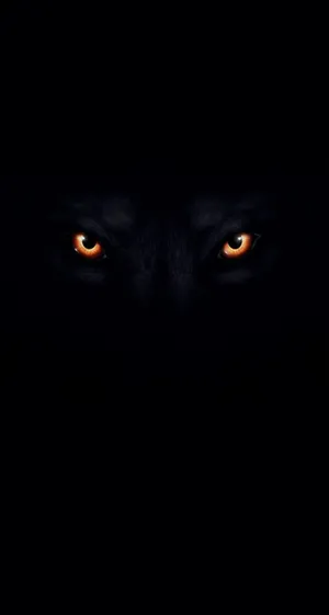 Wolf Eyes In Color Black Background Wallpaper