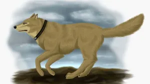 Wolf's Rain Hige Relaxing On The Grass Wallpaper