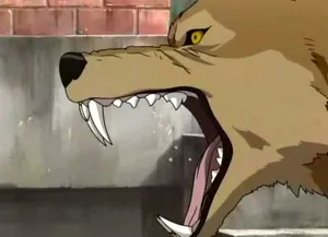 Wolf's Rain Toboe 940 X 680 Wallpaper Wallpaper