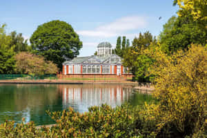 Wolverhampton Greenhouse Reflection Pond Wallpaper