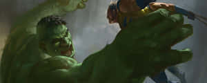 Wolverine Vs Hulk - Hulk Vs Wolverine Wallpaper