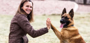 Woman Dog High Five Training Wallpaper