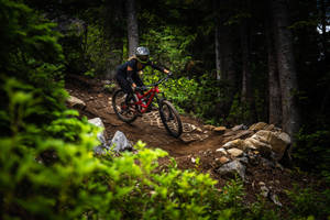 Woman On A 4k Mountain Bike Steep Trail Wallpaper