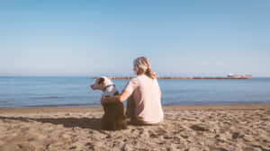 Woman Sitting On Beach With Dog Wallpaper