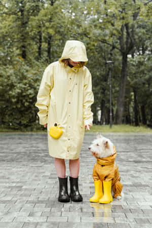 Woman Wearing A Stylish Yellow Raincoat Wallpaper