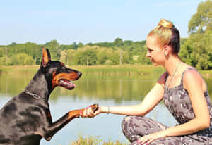 Womanand Dog Sharing Momentby Lake Wallpaper