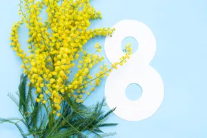 Women's Month Mimosa Flowers Wallpaper