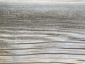 Wood Texture Wallpaper