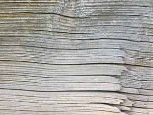 Wood Texture Wallpaper