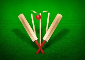 Wooden Cricket Bat Ground Wallpaper