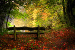 Wooden Wavy Bench Wallpaper