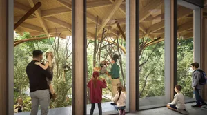 Woodland Park Zoo Primate Encounter Wallpaper