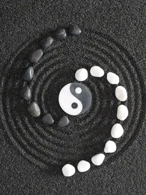 Woodland Trail In Early Autumn Wallpaper