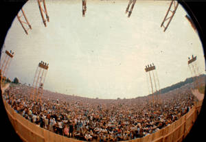 Woodstock Crowd Fish Eye Lens Wallpaper