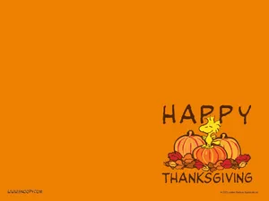 Woodstock Peanuts Thanksgiving Wallpaper