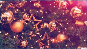 Work, Play, And Create With The Powerful Vsco Laptop Wallpaper