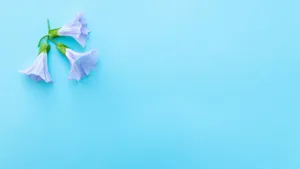 Working From Home Wallpaper