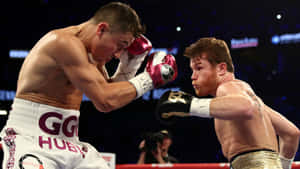 World Champion Boxer Canelo Alvarez Wallpaper