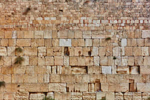 World May Know Western Wailing Wall Wallpaper