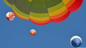 Worm’s Eye View Albuquerque Balloons Wallpaper