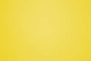 Wow In Yellow Wallpaper