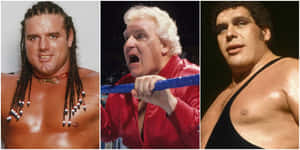 Wrestling Legends Collage Wallpaper