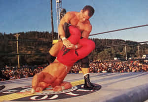 Wrestling Match Submission Hold Wallpaper