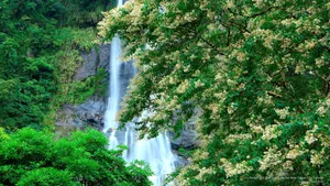 Wulai Waterfalls Taiwan Wallpaper