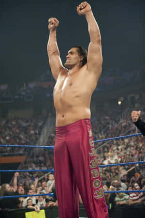 Wwe Indian Wrestler The Great 2009 Wallpaper