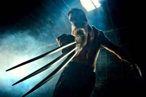 X-men Low Angle Wolverine Wallpaper