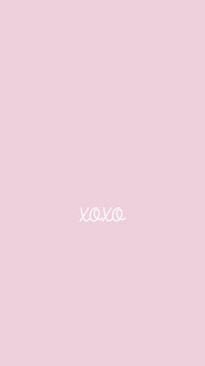 Xoxo Plain Pink Wallpaper