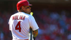 Yadier Molina Of The St. Louis Cardinals Wallpaper