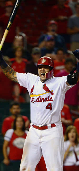 Yadier Molina, St. Louis Cardinals All-star Catcher Wallpaper