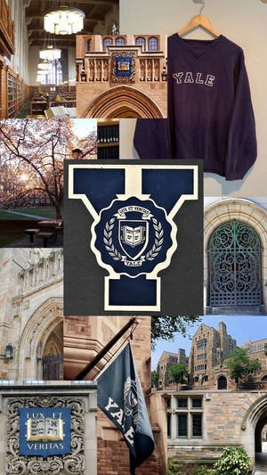 Yale University Buildings Collage Wallpaper