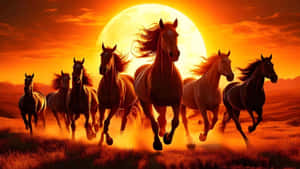 Year Of The Horse Celebration Wallpaper