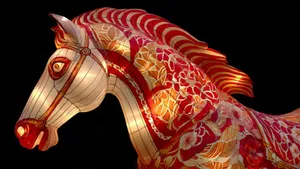 Year Of The Horse Lantern Wallpaper