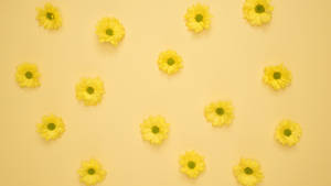 Yellow Aesthetic Flowers For Computer Wallpaper