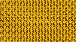 Yellow Chrysanthemum Blossom Wallpaper