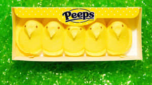 Yellow Easter Peeps Chicks Wallpaper