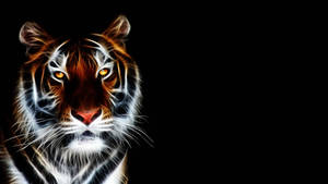 Yellow Eye Tiger Iphone Wallpaper