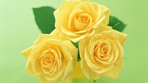 Yellow Floral Beauty Wallpaper