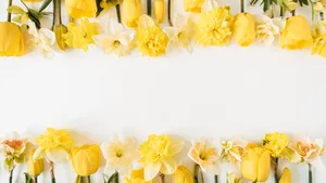 Yellow Floral Border Wallpaper