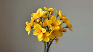 Yellow Floral Bouquet Wallpaper