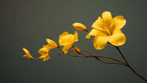 Yellow Floral Elegance Wallpaper