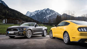 Yellow Grey Convertible Ford Mustangs Wallpaper