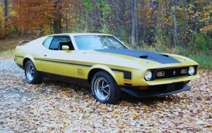 Yellow Mach 1 Mustang Hd Wallpaper