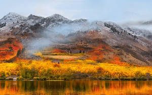 Yellow Orange Field Macos Wallpaper